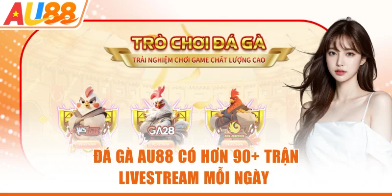 Đá gà AU88 có hơn 90+ trận livestream mỗi ngày