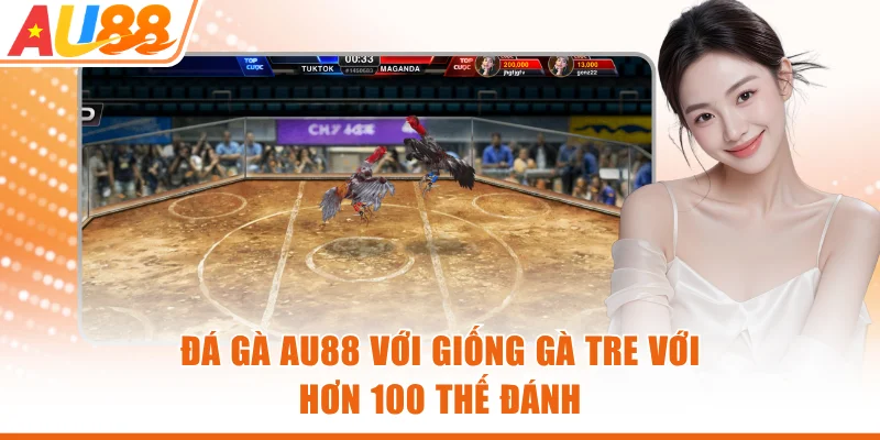 Đá gà AU88 với giống gà tre với hơn 100 thế đánh